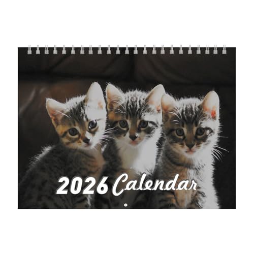 Calendario 2026, planificador de pared Monthly, organizador de calendario de 12 meses, bonito felino con diseño de papel grueso, ideal para escritorio, dormitorio, sala de estar, cocina, apartamento