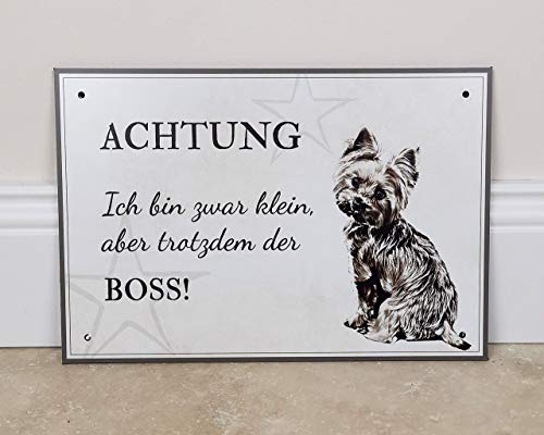 ZAUBERBILD Hundeschild Warnung | Yorkshire Terrier | Warnschild Vorsicht Hund | 25x17cm Alu
