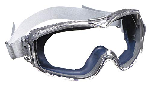 Protective Goggles, 2.0, Clear