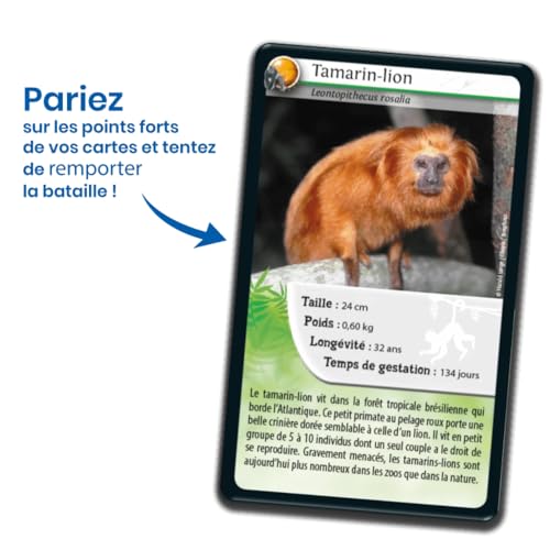 Bioviva Défis Nature Singes et autres primates Jeu de bataille - vue 7