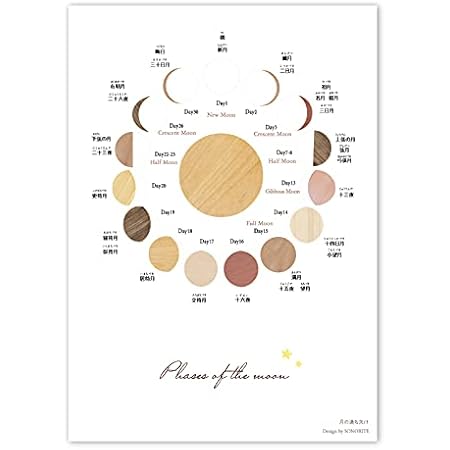 Amazon Co Jp お風呂学習ポスターシリーズ 夏と冬の星座 大 60 42cm 文房具 オフィス用品