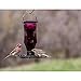 Perky Pet Amethyst Starburst Vintage Glass Wild Bird Feeder 8137-2
