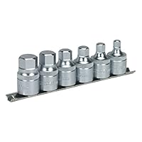 Algopix Similar Product 13 - Sealey AK6561 Hex Socket Bit Set with