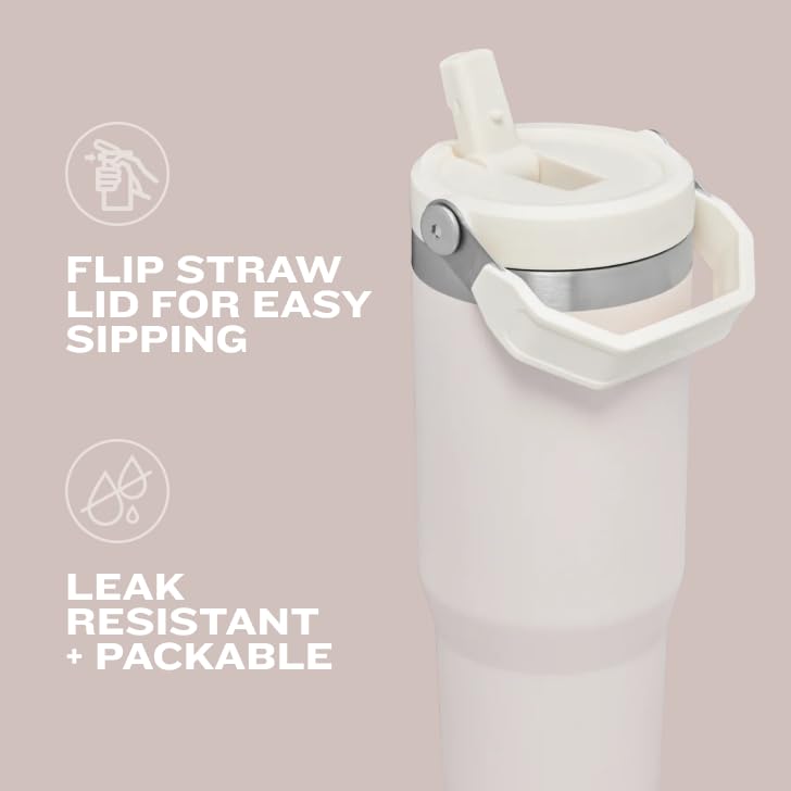Stanley IceFlow Flip Straw Tumbler with Handle | Twist On Lid and Flip Up Straw | Leak Resistant Water Bottle | Insulated Stainless Steel | BPA-Free image 6