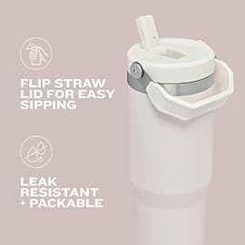 STANLEY IceFlow 2.0 Flip Straw Tumbler with Handle 30 oz | Twist On Lid and Flip Up Straw | Leak Resistant Water Bottle | Insulated Stainless Steel | BPA-Free | Splash