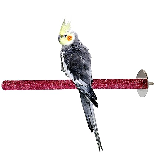 Image of Congo Premium 12 inch Safe Chew Bird Sandy Sand Perch for Grinding Nail for Budgies, Lovebirds, Cockatiels, Conure and Other Small Birds
