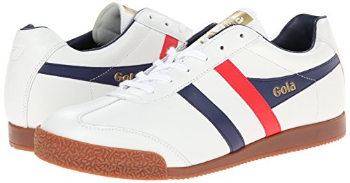 Image of Gola Harrier