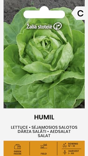 Zalia stotele | Sla - HUMIL Groentezaden | Wintersla | Voor oogst in herfst en voorjaar | Gladde lichtgroene bladeren met fijne smaak | Voor kas en vollegrond | Slazaden | 1 zakje