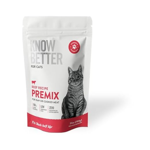 Beef Recipe Homemade Cat Food Supplement