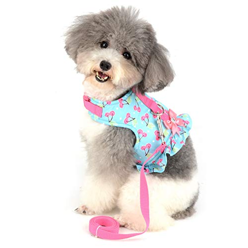 SMALLLEE_LUCKY_STORE Bow Cherry Print Cat and Small Dog Harness Dress with Leash for Girls Adjustable No Pull Escape Proof Soft Walking Jacket Waterproof Puppies Kitten Harness Vest Outdoor,Green XS