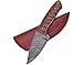 Frost Cutlery VFD-120C/WW Fixed Blade Winewood Handle Damascus Steel Knife
