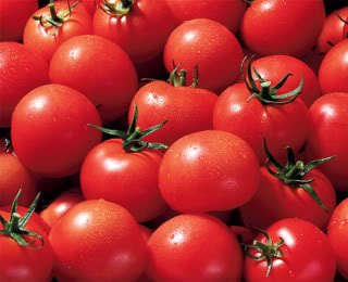 300 Large Red Cherry Tomato Lycopersicon Lycopersicum Fruit Vegetable Seeds #TOP2