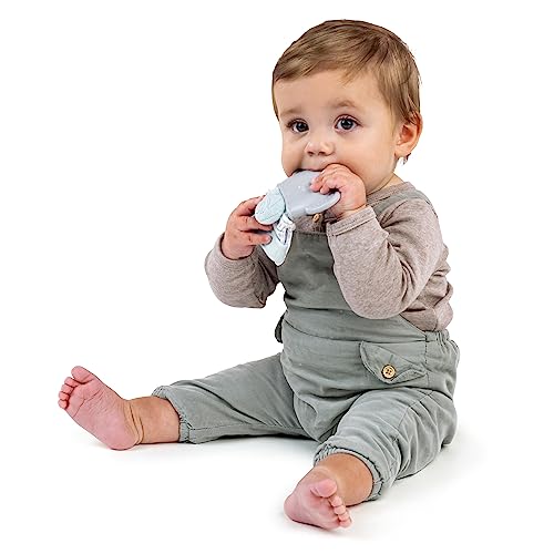 Image of Ingenuity Teethers