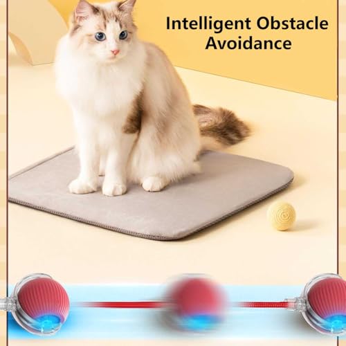 Interactive Rolling Ball, Electric Dog Ball, Self-Rolling Smart Automatic 360° Pet Toys for Dogs & Cats - Image 3