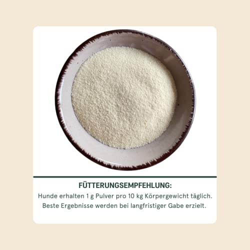 dogicare Colostrum Hund & Katze - 100% reines Colostrum Pulver - Kolostrum Extrakt unterstützt Abwehrkräfte & Magen-Darm-Trakt - Immunglobuline, Mineralien, Vitamine für Hunde & Katzen