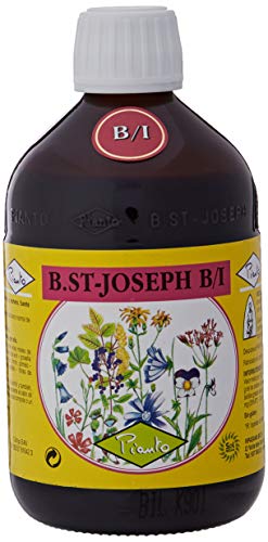 Bio San Joseph B/I (gama a la miel) 510 g Pianto