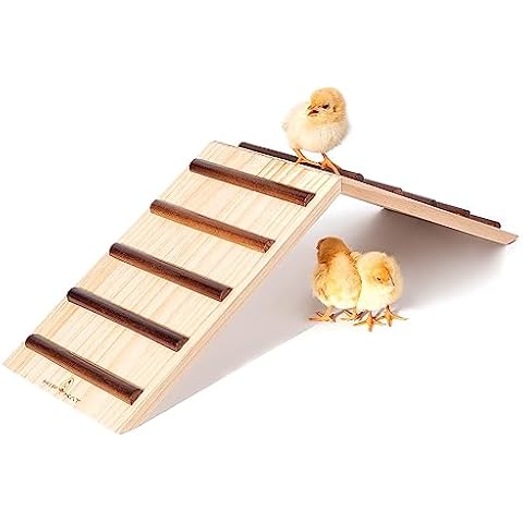 Hipykat Chick Perch & Chicken Roost - Chick Stand Training Perches, Roosting Two-in-one Wooden Chick Ramp Trainer, Chick Toys for Brooder, No Assemble, Coop Accessories for Chick, Hens, Small Animal Cover