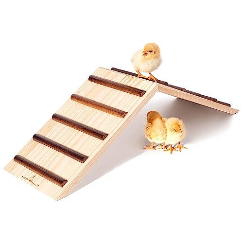 Chick Supplies Chick Perch & Chicken Roost Chick Stand Training Perches Roosting Wooden Chick Ramp Trainer Chick Toys for Brooder No Assemble Coop Accessories for Chick Hens Small Animal