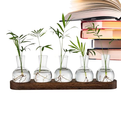 jopiuieo Stazione di propagazione 'acqua, vaso per bulbi con vassoio in legno, vaso idroponico vintage da scrivania, terrario per piante da tavolo, stazioni di propagazione per piantare l'acqua,