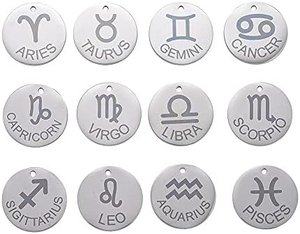 DanLingJewelry 10pcs 304 Stainless Steel Dog Paw Print Charm Doggy Cat Animal Footprint Pendant for DIY Crafting Jewellery Findings