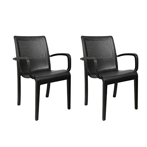 Image of Cello Ecstasy Chair Set Pack of 2 - Black | Strong and Durable | Easy to Clean | Chair for Living Room, Bed Room, Kitchen, Office Room, Outdoor | 3 Years Warranty