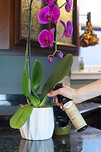 Southside Plants Weekly Orchid Food Fertilizing Spray - Ready To Use Mist Increase Humidity & Nutrients House Plants Farm - Safe Grow Formula For Orchid Leaves, Stems, Roots - 8Oz #TOP3