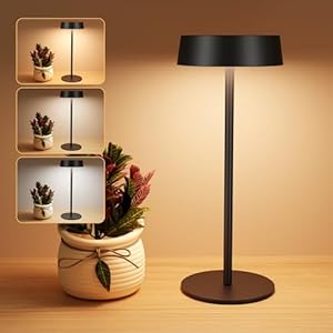 Suright Solar Tischlampe Kabellos, Solarbetriebene und über USB-C Aufladbar Akku Tischleuchte, Stufenlos Dimmbare LED Tischlampe mit 3 Farbmodi, Touch Lampe IP65 Wasserdicht für Innen und Aussen