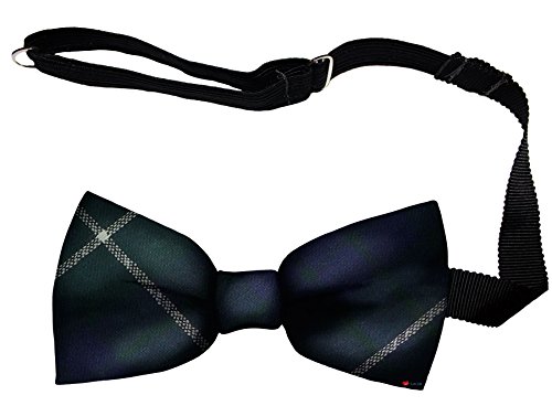 Noeud Papillon en Laine Hamilton Tartan Écosse I LUV LTD