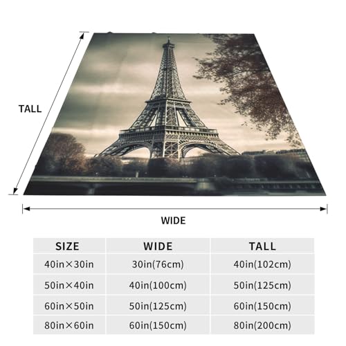 Couverture douce grise de qualité durable en micro-polaire dense - 3