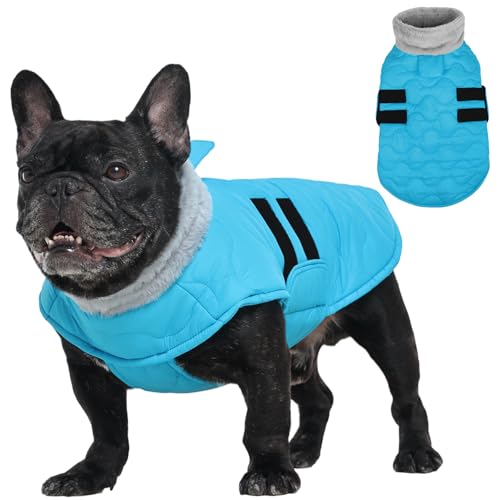 Kuoser Dog Jacket, Winter Dog Coats for Medium Dogs, Cold Weather Coats Pet Clothes, Doggie Snow Jacket for Frech Bulldog, Boston Terrier, Blue M M (Chest Girth: 16.5-20.5'') Blue