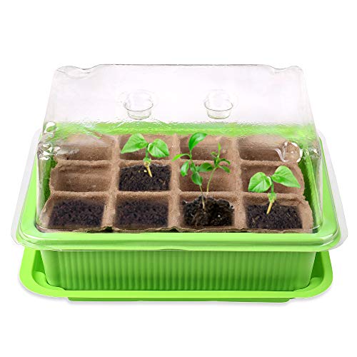 Schramm® Anzucht Set Gewächshaus Anzucht Schale Töpfe Zimmergewächshaus 20,5 x 15,5 x 11 cm für 12 Anzuchttöpfe Anzuchtset Mini-Gewächshaus