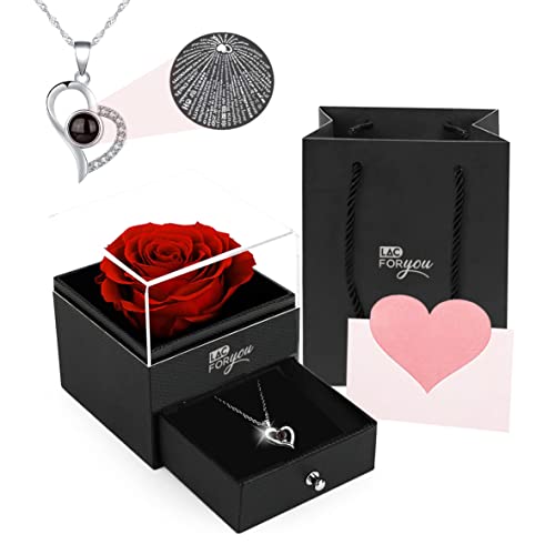 LAC Gestabiliseerde Rode Roos met Ketting - Cadeauset met Hartvormige Hanger - Ik Hou Van Jou in Alle Talen - Perfect voor Verjaardag, Jubileum, Valentijn, Kerst - Afbeelding 3
