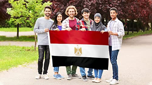Danf Egypt Flag 3X5 Foot Polyester Egyptian National Flags Polyester With Brass Grommets 3 X 5 Ft #TOP2
