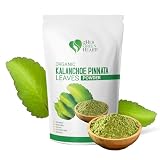 Kalanchoe Pinnata Leaves Powder Dried Healthy Leaves Powder Well Cleaned Leaf of Life