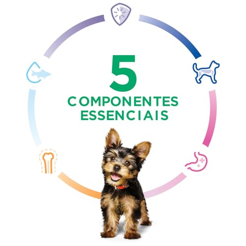 Ração Hill's Science Diet Pequenos e Mini para Cães Filhotes sabor frango - 5.67kg