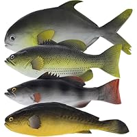 Amazon.de: Meiwlong 4 Stck Knstliche Fische Realistische Kunststoff Fisch  Deko Simulation Lebensmittel Modell Lebensechtes Display Markt Geschft  Restaurant Aquarium Lehrhilfe Dekoration