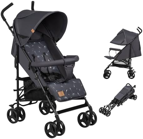 LIONELO Elia poussette canne à 15 kg, réglage du dossier jusqu’à ...