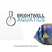 Brightwell Aquatics Strontion High-Strength Ionic Strontium Supplement for Reef Aquariums Supports Coral Skeletal Growth Aragonite Formation SPS LPS, 500 ml