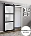 SARTODOORS Sturdy Barn Door 36 x 80 inches Frosted Glass | Lucia 2552 Matte Black | Top Mount 6.6FT Rail Hangers Heavy Hardware Set | Solid Panel Interior Doors