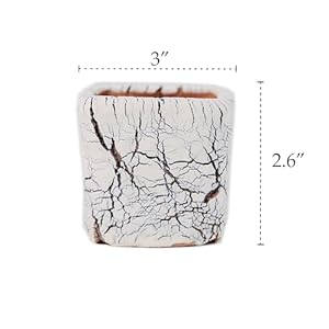 Arktiva Artisan Handmade Ceramic Planter Pots w/Drainage, 3 Inch Set of 2, Indoor Outdoor Home Patio Garden Plants Flower Succulent, Crackle-Texture Square Arktiva Artisan Handmade Ceramic Planter Pots wDrainage 3 Inch Set of 2 Indoor Outdoor Home Patio Garden Plants Flower Succulent Crackle Texture Square