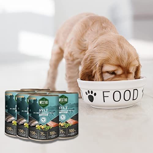 WESTHO Nassfutter Sylt Adult Senior (6 x 800 g) | 75% Wildlachs & Forelle | Getreidefrei | Zum Konditionsaufbau | Zur Haut und Fellpflege | Premium Hundenassfutter