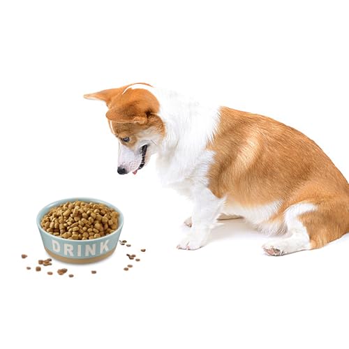 7.2\" Non-Slip Ceramic Dog Bowl, 37 Oz Heavy-Duty Dog Food/Water Dish, Pet Feeding Bowl for Small and Medium Dogs, Food Grade Porcelain Pet Feeder Bowl, Microwave and Dishwasher Safe, Lake Blue