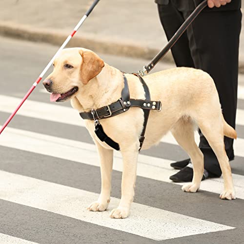 8 Pieces Dog Collar Clip Prong Collar Safety Clip Adjustable Nylon Prong Collar Backup Collar Harness Connector, Double Ended Backup Clasp For Dog Harness Pet (Warm Colors) #TOP4