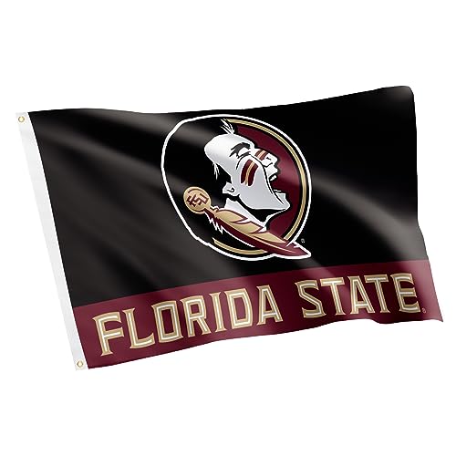 Desert Cactus Florida State University FSU Seminoles Flag 3x5 Outdoor (S)