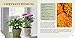 Houseplants: Grow Decorative Tropical Plants, Succulents, and Cacti Indoors