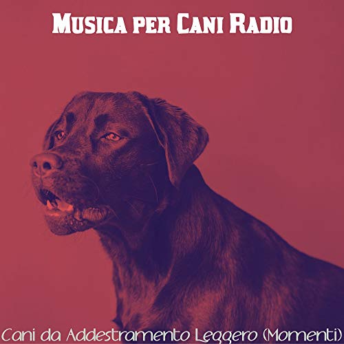  Cuccioli Bianca