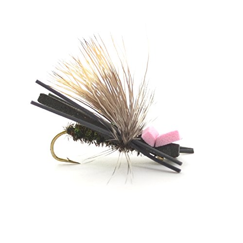 The Fly Fishing Place Basics Collection - Foam Hoppers Dry Fly Assortment #2 - 10 Dry Fishing Grasshopper Flies - 5 Patterns - Hook Size 10 #TOP3