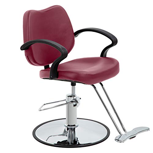 Bestsalon Styling Heavy Duty Hydraulic Pump Beauty Shampoo Barbering Chair For Hair Stylist Women Man Salon Equipment, 23D X 23W X 35.5H In, Burgundy #TOP7