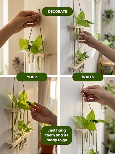 Image of 2 Tier Hanging Planter with Wooden Holder & Rope | 6 Test Tube Hanging Plant Indoor Stand | Wooden Planter for Home Decor, Living Room, Balcony & Office Decoration