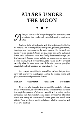 Backyard Witchcraft: The Complete Guide for the Green Witch, the Kitchen Witch, and the Hedge Witch - Image 11